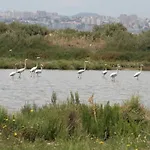 Tangosierraresidences אלקוצ'טה