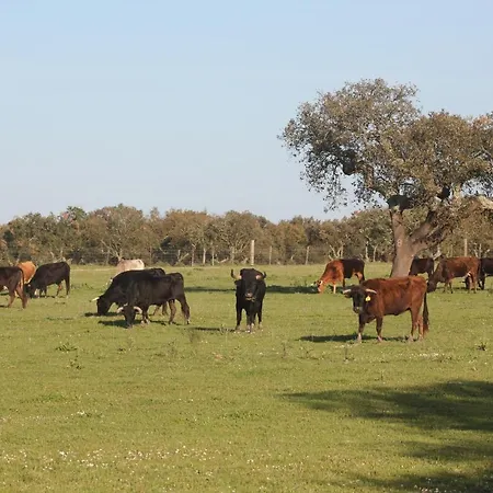 Tangosierraresidences *