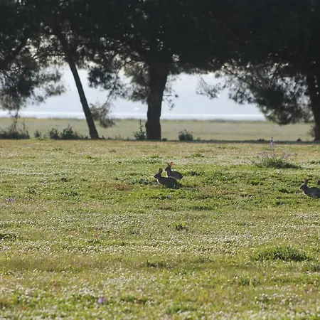 Tangosierraresidences Appartamento