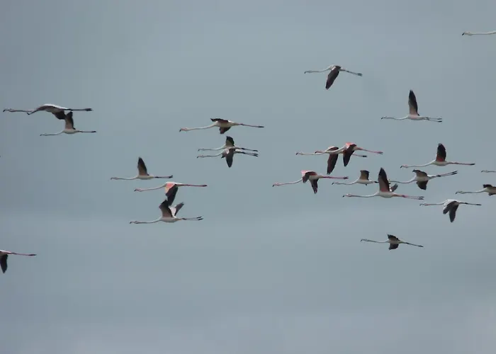 Апартаменты Tangosierraresidences *