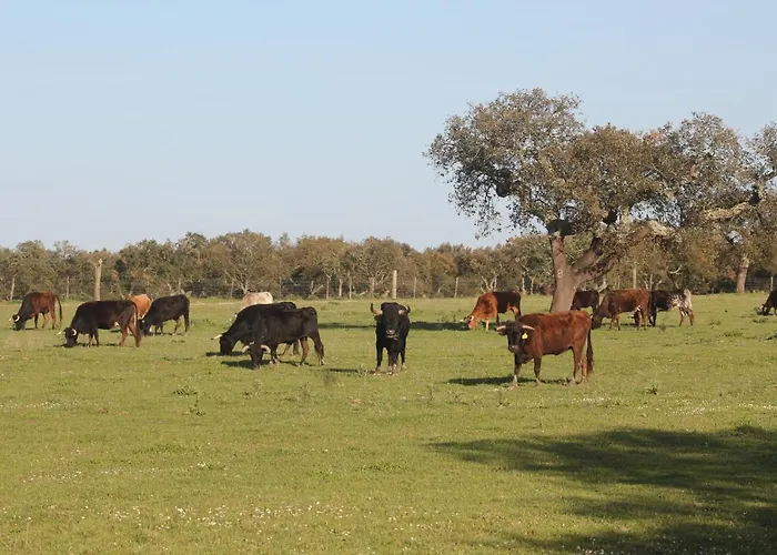 Tangosierraresidences *