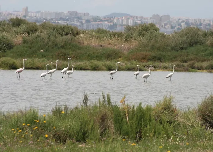 Tangosierraresidences Алкошети